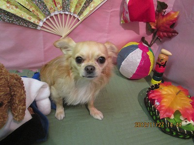 ファイル 5527-2.jpg