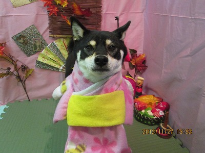 ファイル 5528-1.jpg