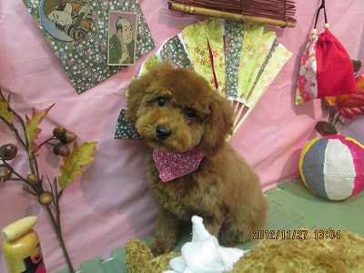 ファイル 5529-2.jpg