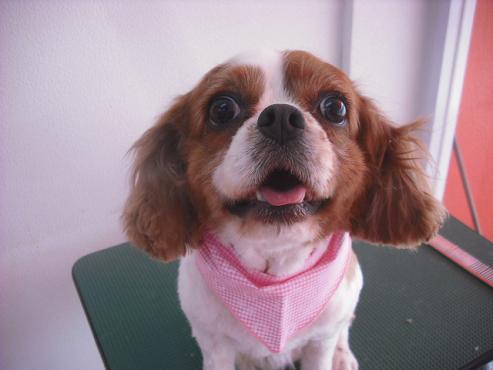 ファイル 553-1.jpg