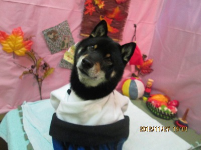 ファイル 5530-1.jpg