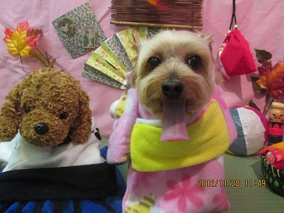 ファイル 5531-1.jpg