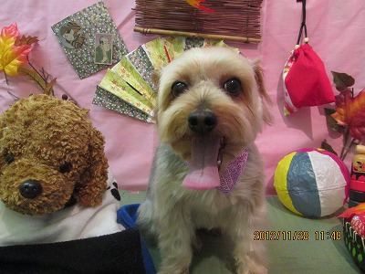 ファイル 5531-2.jpg