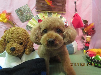 ファイル 5532-2.jpg