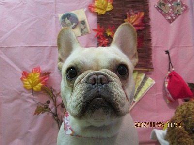 ファイル 5533-2.jpg