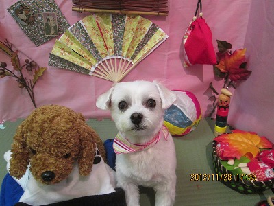 ファイル 5534-2.jpg