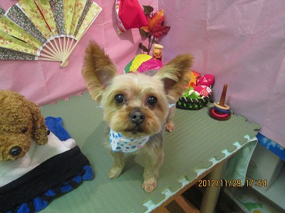 ファイル 5535-2.jpg