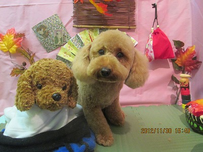 ファイル 5537-2.jpg