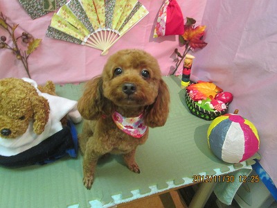 ファイル 5538-2.jpg