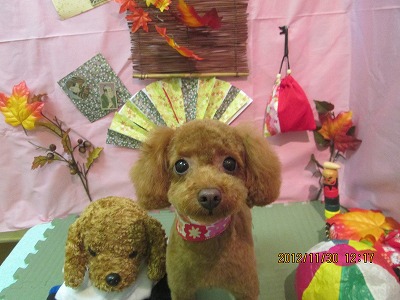 ファイル 5539-2.jpg