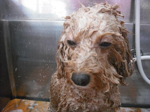 ファイル 554-2.jpg