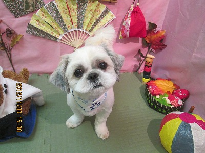 ファイル 5540-2.jpg