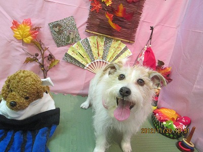 ファイル 5542-2.jpg