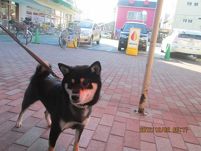 ファイル 5543-2.jpg