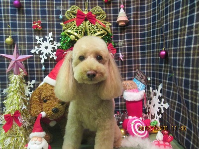 ファイル 5544-1.jpg