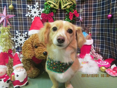 ファイル 5546-2.jpg