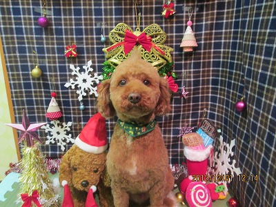 ファイル 5547-1.jpg