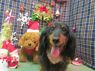 ファイル 5549-2.jpg