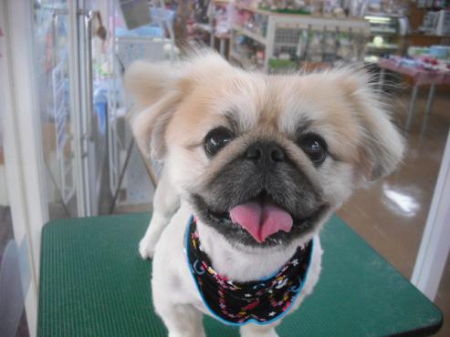 ファイル 555-1.jpg