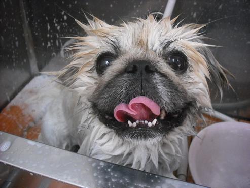 ファイル 555-2.jpg