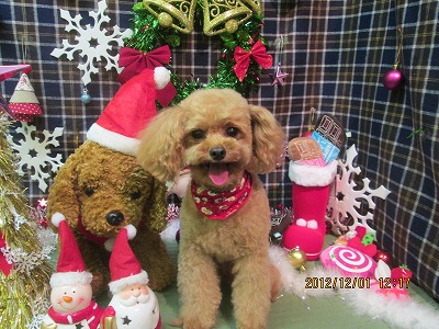 ファイル 5550-2.jpg