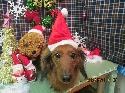 ファイル 5552-1.jpg