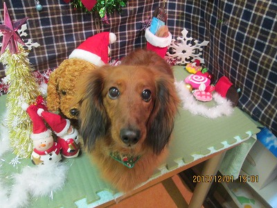 ファイル 5552-2.jpg