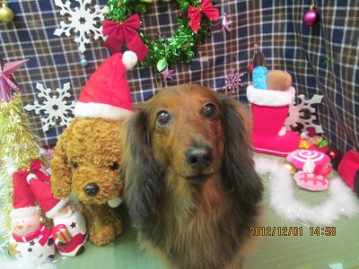 ファイル 5553-2.jpg