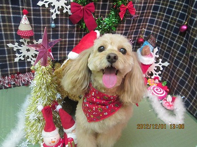 ファイル 5554-1.jpg