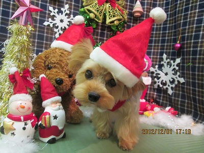 ファイル 5555-1.jpg