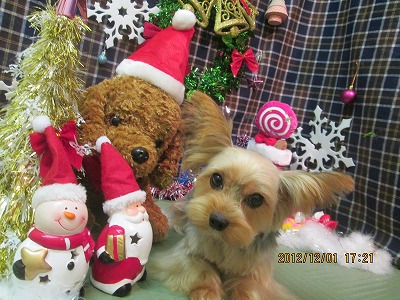 ファイル 5555-2.jpg