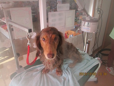 ファイル 5556-2.jpg