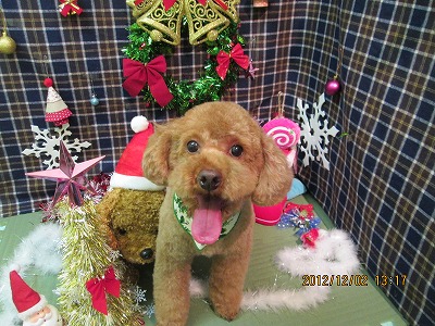 ファイル 5557-2.jpg