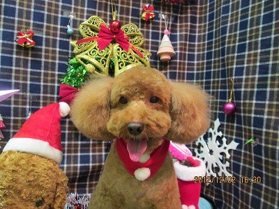 ファイル 5558-2.jpg