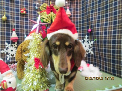 ファイル 5559-1.jpg