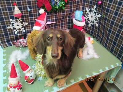 ファイル 5559-2.jpg