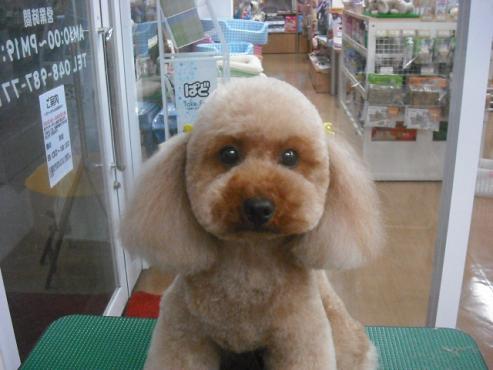 ファイル 556-1.jpg