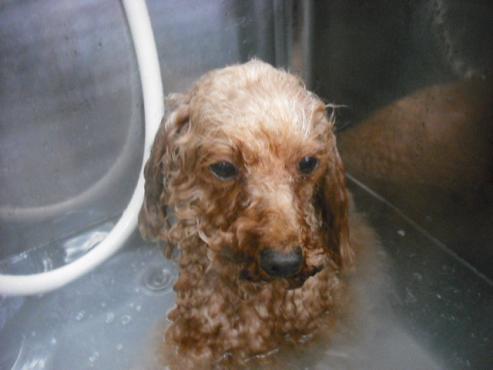 ファイル 556-2.jpg