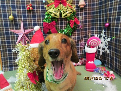 ファイル 5560-2.jpg