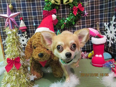 ファイル 5561-2.jpg