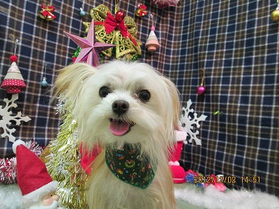 ファイル 5564-2.jpg