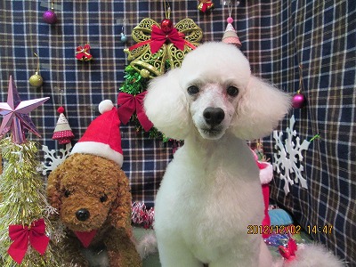 ファイル 5565-1.jpg