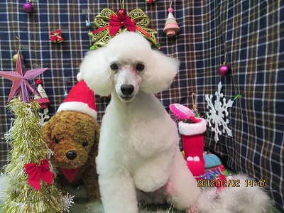 ファイル 5565-2.jpg