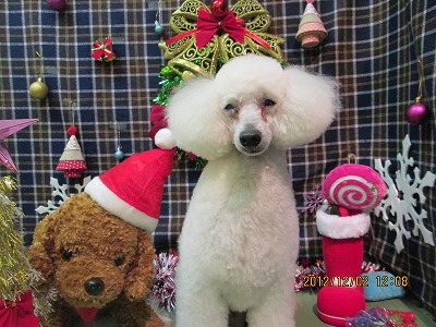 ファイル 5566-1.jpg