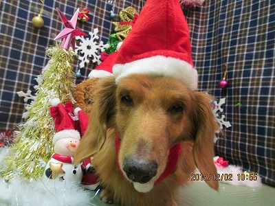 ファイル 5568-1.jpg