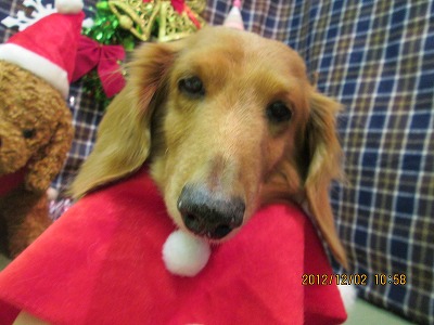 ファイル 5568-2.jpg