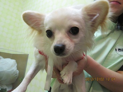 ファイル 5569-1.jpg