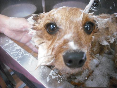 ファイル 557-2.jpg