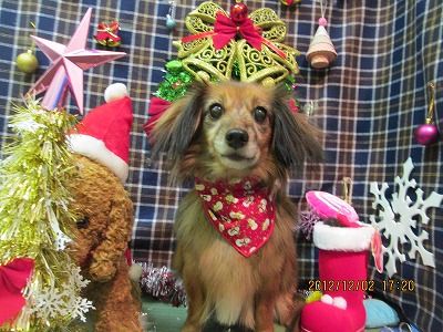 ファイル 5571-2.jpg