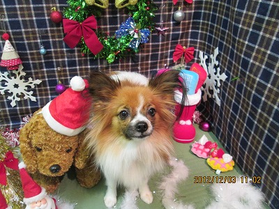 ファイル 5572-2.jpg